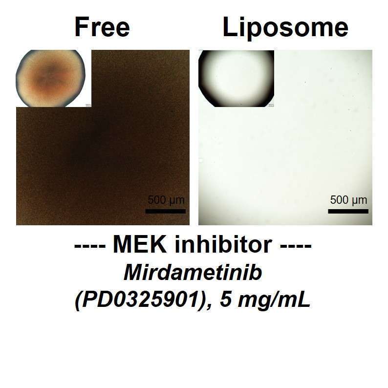 Mirdametinib (PD0325901) Liposomes - MEK inhibitor, 5 mg/mL