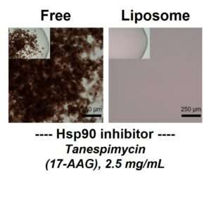 Comparison of Tanespimycin (17-AAG) aqueous solubility in free or liposomal forms at 2.5 mg/mL, shown at 10x and 4x magnification